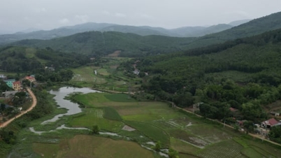 By clinging to the forest and preserving the land, farmers in Na Meo have gained additional income.