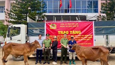 នាយកដ្ឋានសន្តិសុខសេដ្ឋកិច្ចបានប្រគល់គោចិញ្ចឹមចំនួន ១៦ ក្បាលដល់ប្រជាជននៅតំបន់ដែលរងផលប៉ះពាល់ដោយទឹកជំនន់។