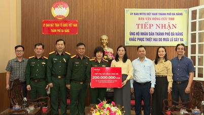 Da Nang primește 200 de milioane de VND ca ajutor în caz de dezastru.