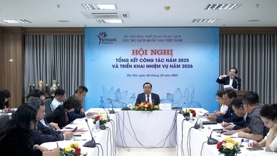 Du lịch Việt Nam năm 2025: Năm bản lề tạo đà bứt phá mạnh mẽ