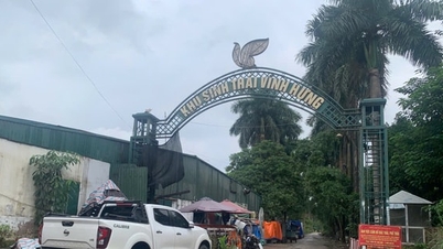 Wie lange wird das Projekt des Ökologischen Parks Vinh Hung noch unvollendet und verlassen bleiben?