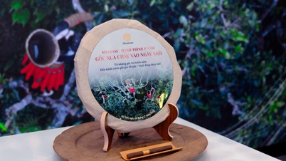 Shanam - Khi gốc xưa không nằm lại trong quá khứ