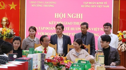 មន្ទីរឧស្សាហកម្ម និងពាណិជ្ជកម្ម ឡឹមដុង សហការជាមួយសម្ព័ន្ធសេដ្ឋកិច្ចហឿងសេន