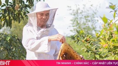 ការតស៊ូរបស់លោកហុក