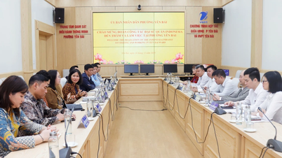 Ambasada Indoneziei în Vietnam lucrează la o evaluare a ajutorului acordat în districtul Yen Bai.