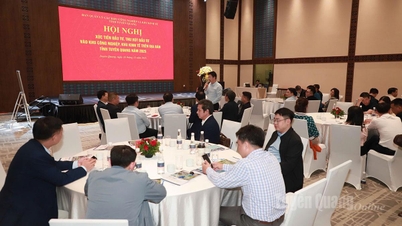 Conferentie ter bevordering van investeringen om investeringen aan te trekken naar industrieparken en economische zones in de provincie Tuyen Quang.