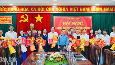 Înființarea Centrului de Servicii Publice din Comuna Dong Xuan