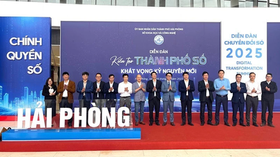 Hai Phong: Membangun Kota Digital - Aspirasi untuk Era Baru