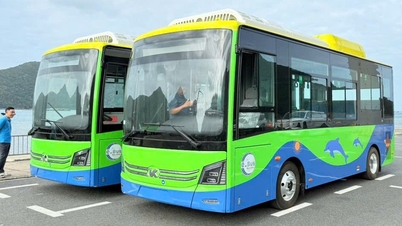 Ngày mai, tuyến buýt điện đầu tiên ở Côn Đảo 'lăn bánh' kết nối nhiều địa điểm