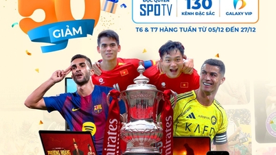 Die besten Sportkanäle auf MyTV, die Sie nicht verpassen dürfen!