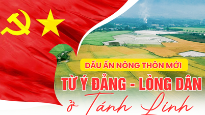 Dấu ấn nông thôn mới từ ý Đảng - lòng Dân ở Tánh Linh