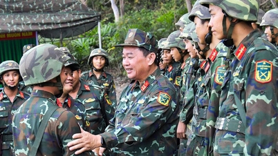 Inspect field training units on the islands.