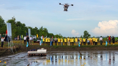 Tempat lahirnya banyak kemajuan dalam teknik pembiakan padi.
