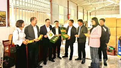 Xã Tân An tham quan, học tập kinh nghiệm giảm nghèo tại tỉnh Lào Cai