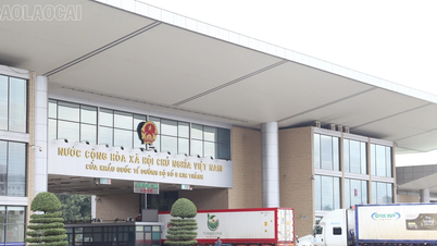 Lao Cai: Az import és export tevékenységekből származó bevétel meghaladta a 2170 milliárd VND-t.