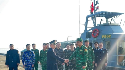 The Nghe An Customs Control Team and Border Guard are coordinating patrols and tightening control to combat smuggling at sea during the period leading up to Tet (Lunar New Year).