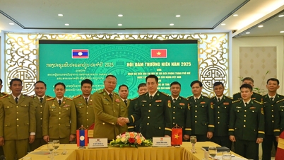 Continue to strengthen coordination and ensure timely information exchange.