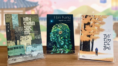 Koreansk litteratur og dens reise til vietnamesiske lesere.