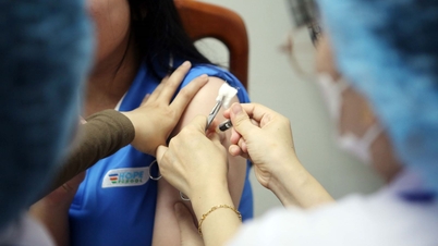 La “edad de oro” para que la vacunación contra el VPH sea más eficaz.