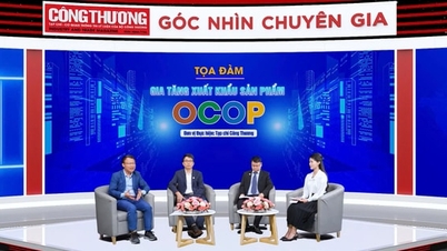صادرات محصولات OCOP: