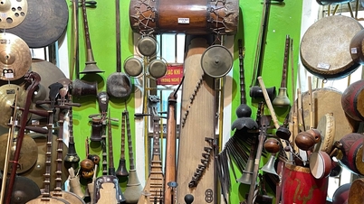 W tym wyjątkowym domu znajduje się ponad 500 tradycyjnych wietnamskich instrumentów muzycznych.