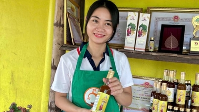 ຄວາມມຸ່ງຫວັງທີ່ຈະຟື້ນຟູປ່າໄມ້ ແລະ ສ້າງຊີວິດການເປັນຢູ່ແບບຍືນຍົງ.