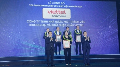 Viettel Import & Export accompanies Vietnamese businesses on their journey to expand into international markets.
