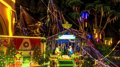 Bao Loc'ta canlı bir Noel atmosferi hakim.