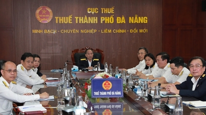 Da Nang bys innenlandske skatteinntekter nådde 131,8 % av det anslåtte målet.
