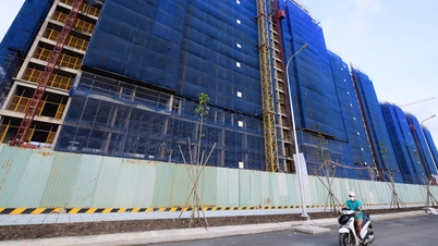 Di Bandar Raya Ho Chi Minh, rumah individu diberikan permit pembinaan sementara untuk skala 3 tingkat dan 1 ruang bawah tanah.