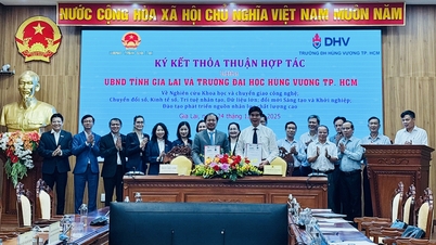 คณะกรรมการประชาชนประจำจังหวัดได้ลงนามในข้อตกลงความร่วมมือด้านการฝึกอบรมกับมหาวิทยาลัยหงหว่องในนครโฮจิมินห์