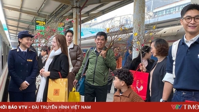 Elf weitere Tet-Feiertagszüge von Ho-Chi-Minh-Stadt nach Zentralvietnam, wodurch 5.500 Fahrkarten zusätzlich angeboten werden.