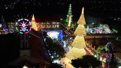 Dong Nai, Noel'i karşılarken ışıl ışıl parlıyor; Noel ağaçları ve koni şeklindeki şapkalar ziyaretçi kalabalığını kendine çekiyor.