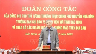 Viceprim-ministrul permanent Nguyen Hoa Binh lucrează în provincia Bac Ninh.