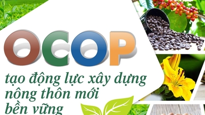 OCOP สร้างแรงผลักดันในการสร้างพื้นที่ชนบทใหม่ที่ยั่งยืนในจังหวัดลำดง