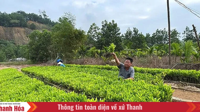 Luận Thành verstärkt seine Bemühungen, die Armut zu verringern und den Lebensstandard seiner Bevölkerung zu verbessern.