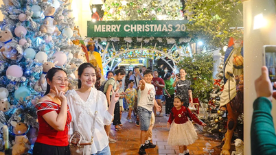 La gente de Ciudad Ho Chi Minh celebró una Navidad cálida y alegre.