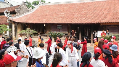 A terra ancestral valoriza a educação patrimonial.