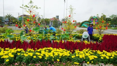Strahlende Blütenpracht erwartet Sie beim Sa Dec Flower and Ornamental Plant Festival 2025.
