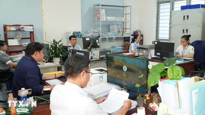 Thành phố Hồ Chí Minh “hóa giải” áp lực quá tải ở cấp cơ sở