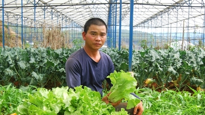 De wijk Lang Biang in Da Lat breidt de landbouwproductie uit om aan de normen te voldoen.