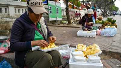 Kina vil tillate offisiell import av fersk jackfrukt fra Vietnam fra 1. juni 2026.