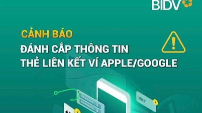 Apple Pay ve Google Pay cüzdanlarını bağlarken kredi kartı bilgilerini çalan dolandırıcılık yöntemlerine karşı uyarı.