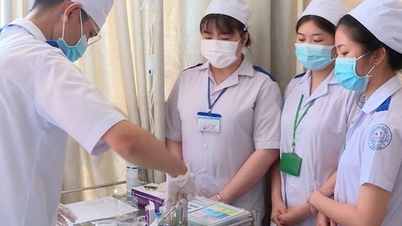 Tres políticas innovadoras allanan el camino para que los trabajadores de la salud ejerzan su profesión con confianza a partir de 2026.