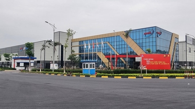 Vai trò khoa học công nghệ trong thực thi ESG