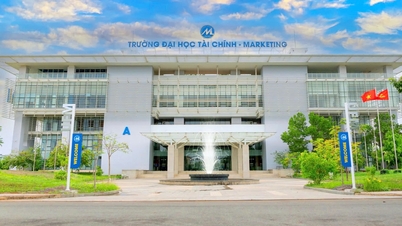 Sáp nhập hai trường đại học lớn thuộc Bộ Tài chính