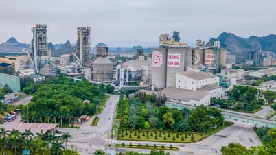 Hai Phong : Prolongation accordée à la société Chinfon Cement pour utiliser plus de 176 000 m² de terrain.