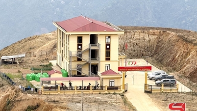 Şeffaflık, verimlilik ve kamu kaynaklarının israf edilmemesi.
