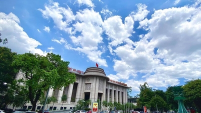 은행 부문은 여전히 ​​경제의 든든한 버팀목입니다.