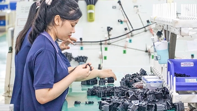 คาดว่ากิจกรรมการนำเข้าและส่งออกของจังหวัดจะมีมูลค่าเกิน 5.6 พันล้านดอลลาร์สหรัฐในปี 2025